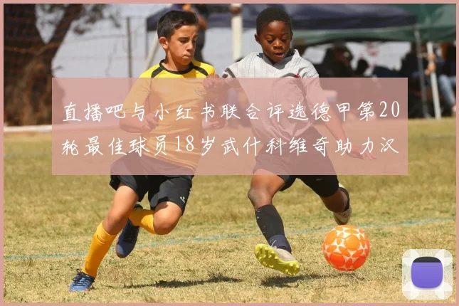 直播吧与小红书联合评选德甲第20轮最佳球员18岁武什科维奇助力汉堡逼平拜仁