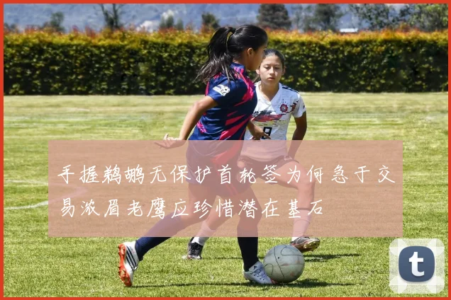 手握鹈鹕无保护首轮签为何急于交易浓眉老鹰应珍惜潜在基石