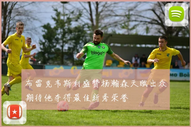 布雷克韦斯利盛赞杨瀚森天赋出众期待他夺得最佳新秀荣誉