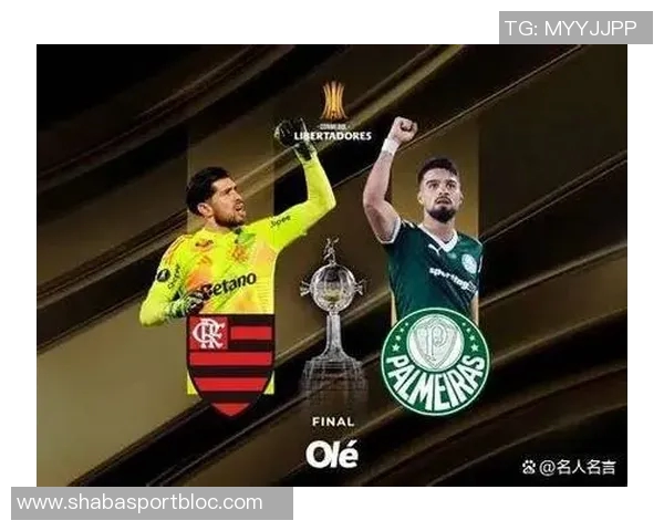 巴西球队展现统治力连续七年夺得南美解放者杯冠军荣耀