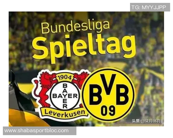 杜塞尔多夫正式签约多特蒙德年轻中锋保利纳转会费为40万欧元