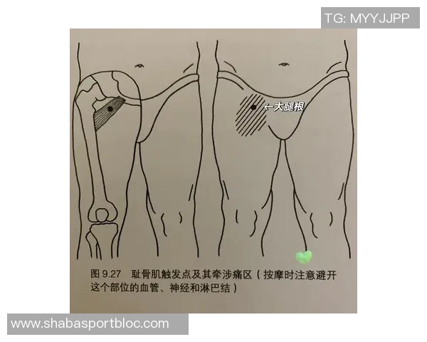 浓眉伤病困扰持续发酵内收肌眼睛小腿腹股沟手韧带问题频发引发关注