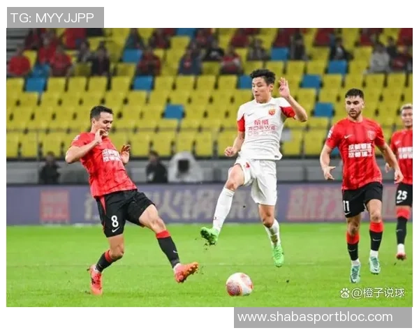 2025中超赛季终结海港荣膺冠军申花紧随其后法比奥斩获金靴亚泰梅州遗憾降级 2025中超赛季终结海港荣膺冠军申花紧随其后法比奥斩获金靴亚泰梅州遗憾降级